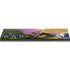 Disney Villains Sleeping Beauty and Maleficent Art Galaxy Skins